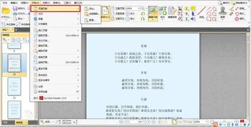 pdf文件怎么修改内容（pdf编辑修改内容的简单方法）(3)
